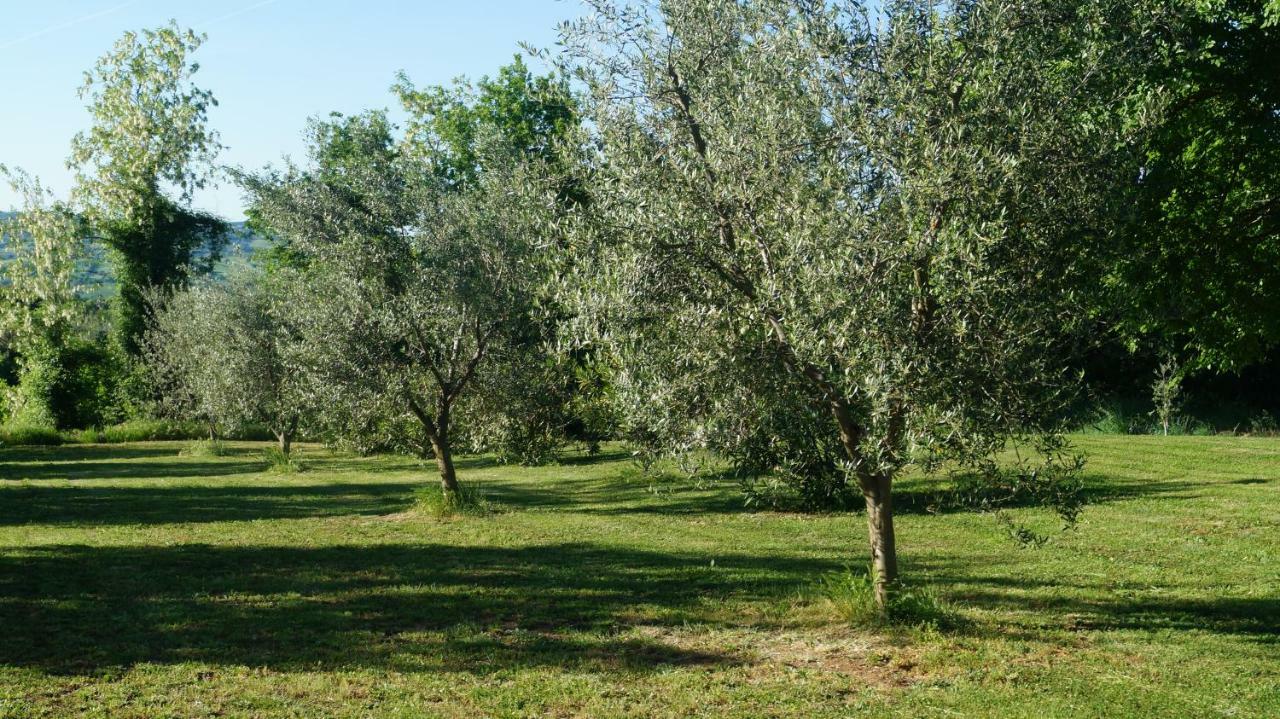 Agriturismo Poggio San Pietro Pitigliano Exterior foto